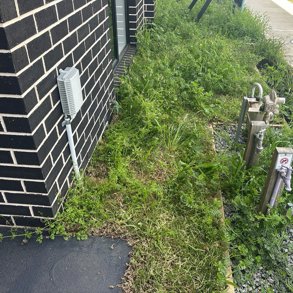 Recorded on a Donnybrook inspection, Donnybrook