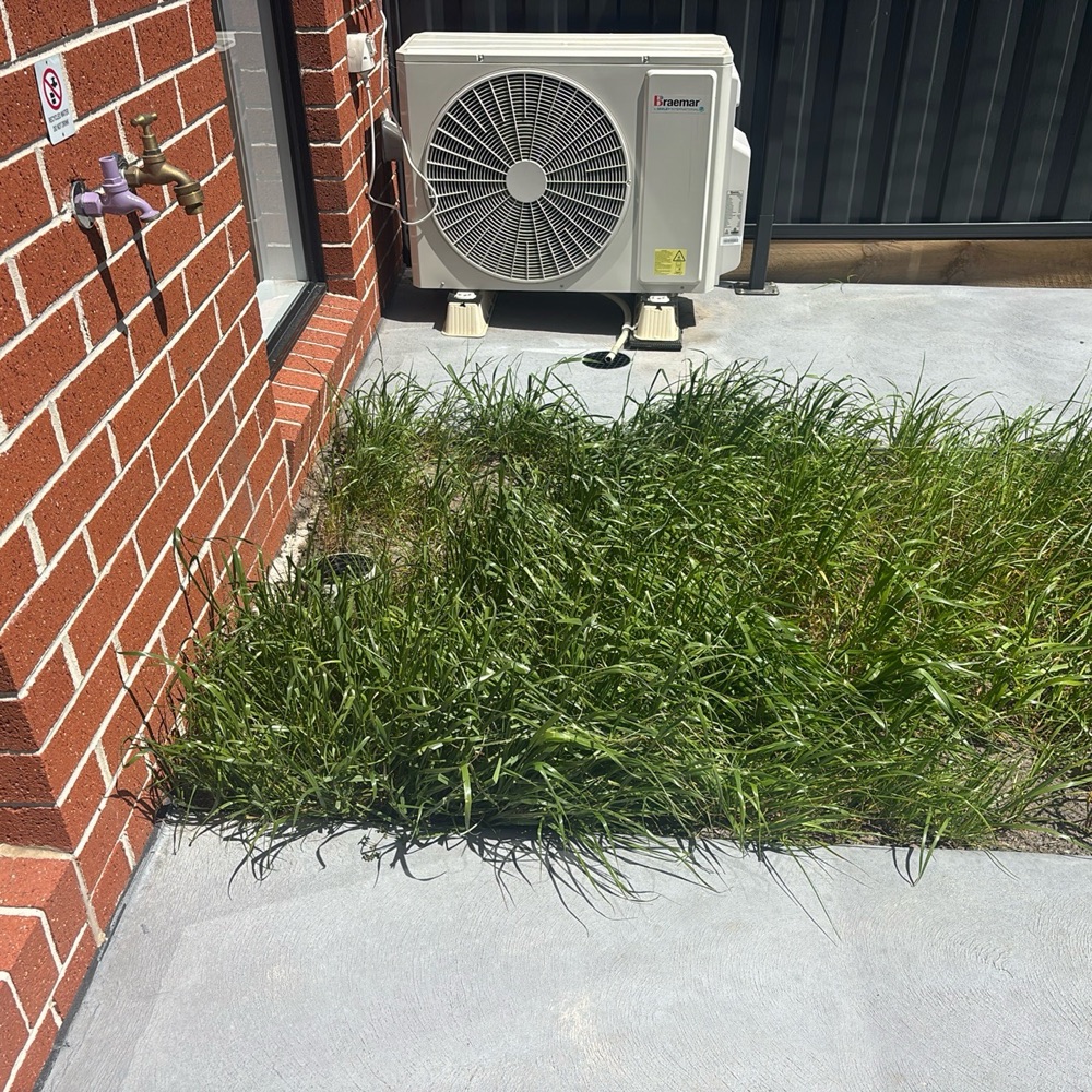 Recorded on a Donnybrook inspection, Donnybrook