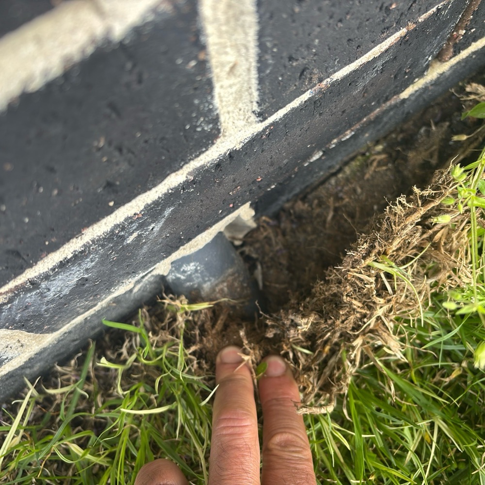 Building and Pest Inspections in Donnybrook