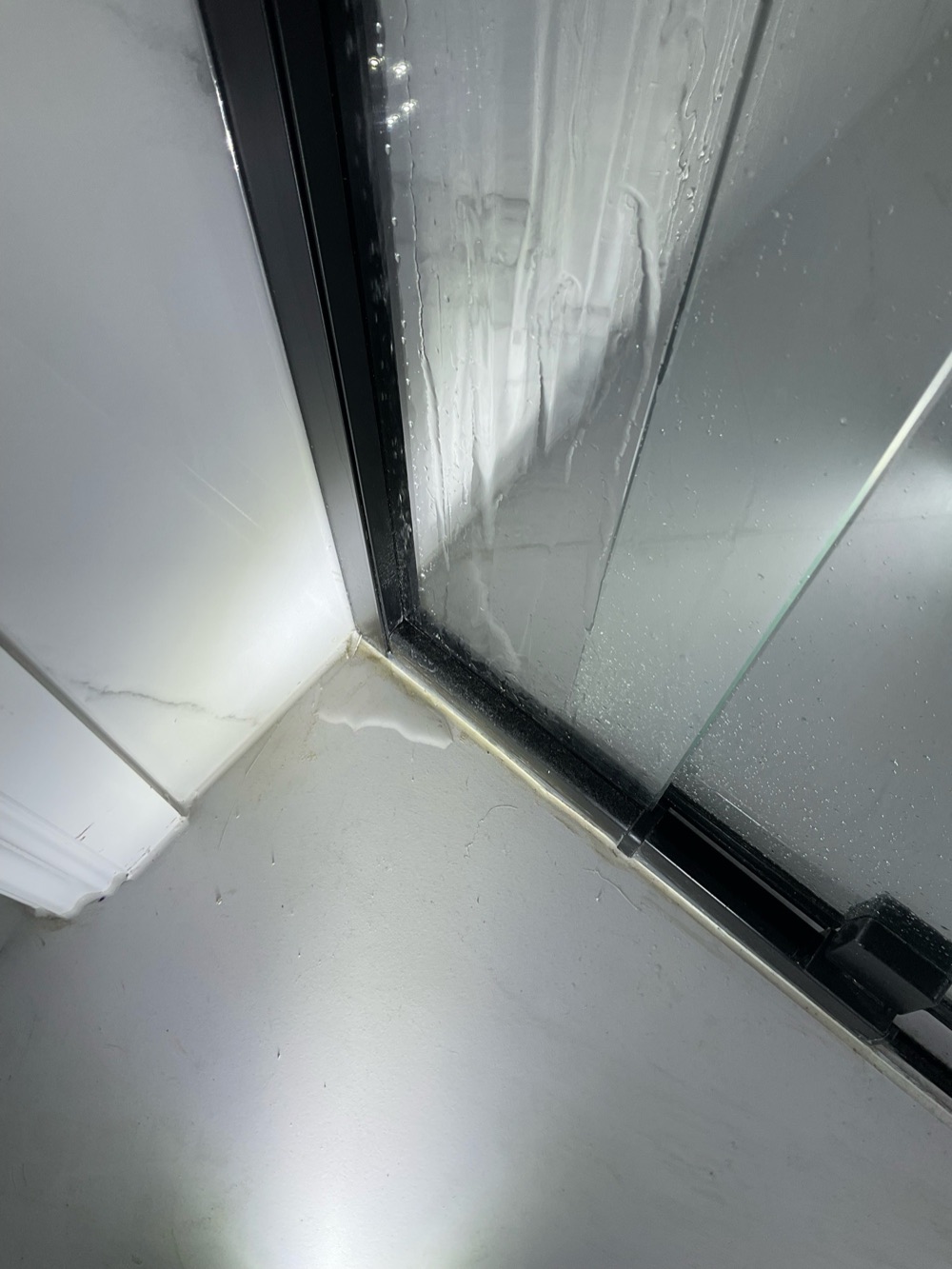 Shower recess leaking at the time of inspection, recorded during a pre-purchase inspection in Donnybrook